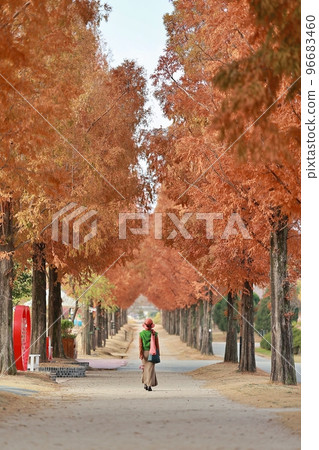 Autumn is pretty, beautiful road Autumn is pretty, beautiful road 96683460