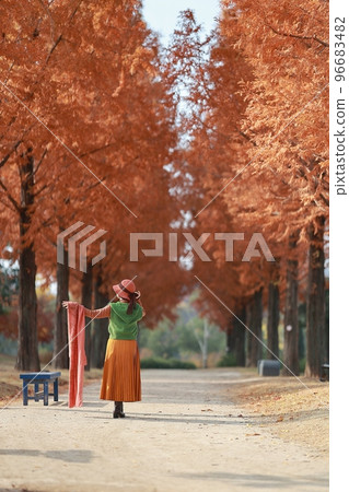 Autumn is pretty, beautiful road Autumn is pretty, beautiful road 96683482