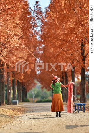 Autumn is pretty, beautiful road Autumn is pretty, beautiful road 96683485