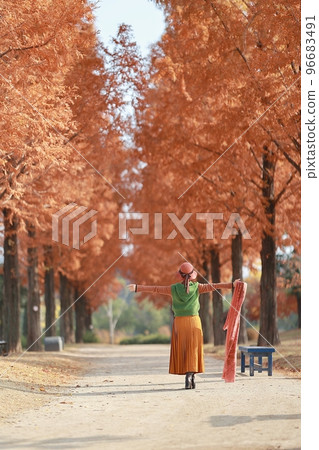 秋天很美,美麗的路 秋天很美,美麗的路 96683491