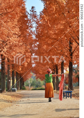 秋天很美,美麗的路 秋天很美,美麗的路 96683492
