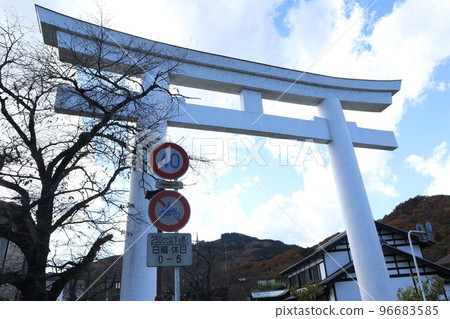 Hodogayama shrine torii 96683585