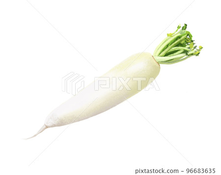 日本蘿蔔 96683635