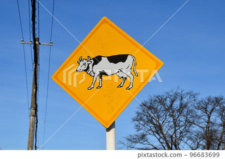 Attention to cows 96683699