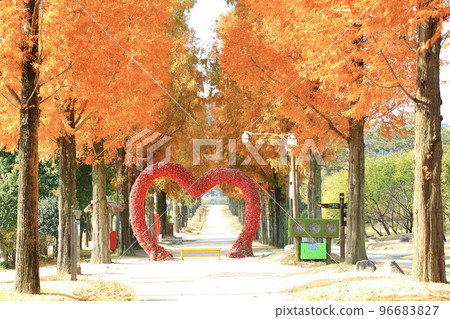 beautiful autumn, autumn trip beautiful autumn, autumn trip 96683827