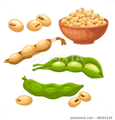 soya food bean set cartoon vector illustration 96684249