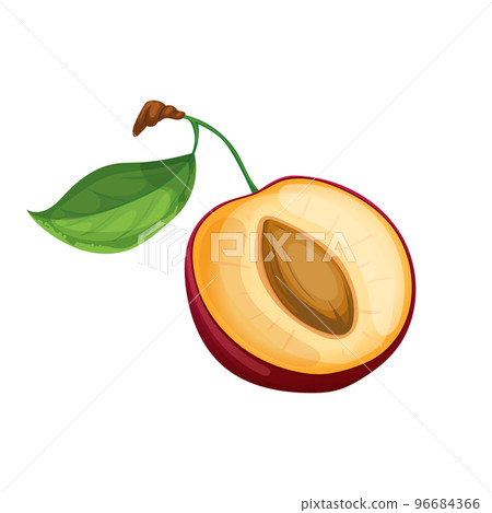 cut plum cartoon vector illustration cut plum cartoon vector illustration 96684366