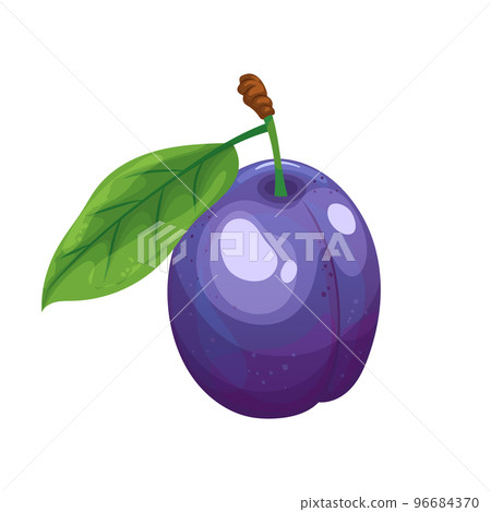blue plum cartoon vector illustration blue plum cartoon vector illustration 96684370