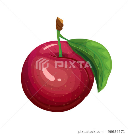 red plum cartoon vector illustration red plum cartoon vector illustration 96684371