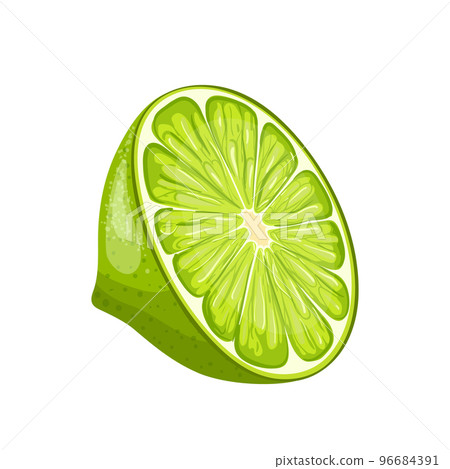 lime fresh cartoon vector illustration lime fresh cartoon vector illustration 96684391