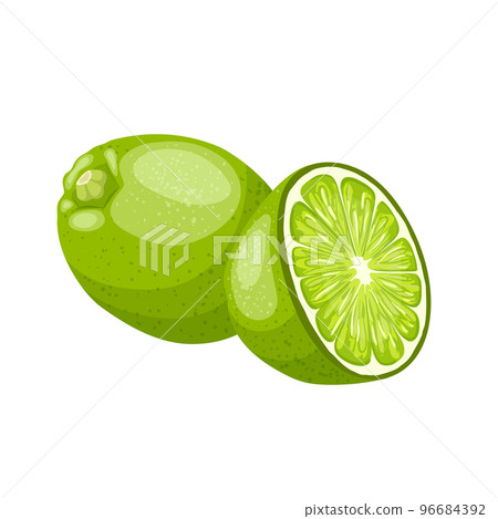 lime cut cartoon vector illustration lime cut cartoon vector illustration 96684392