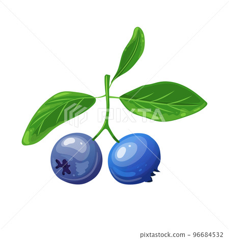 blueberry berry cartoon vector illustration 96684532