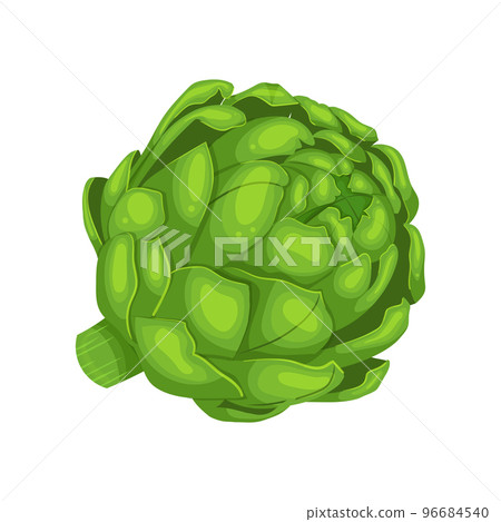artichoke fresh cartoon vector illustration 96684540