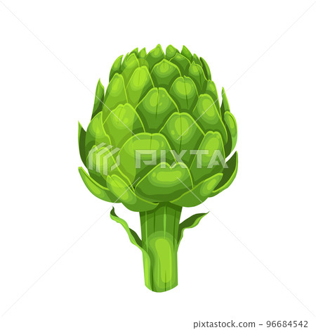artichoke fresh cartoon vector illustration 96684542