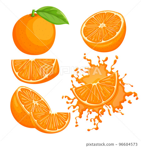 orange fruit set cartoon vector illustration 96684573