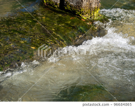 The murmuring of Shirakawa (Kyoto city). The murmuring of Shirakawa (Kyoto city). 96684865