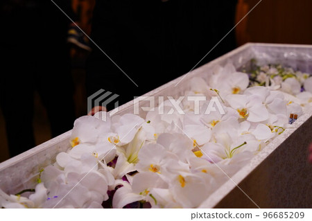 蝴蝶蘭充滿了棺材 96685209