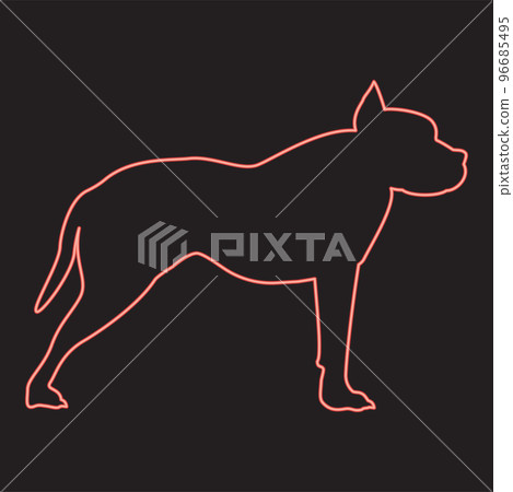 Neon pit bull terrier red color vector illustration image flat style Neon pit bull terrier red color vector illustration image flat style 96685495