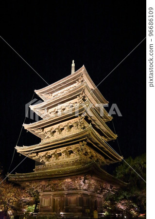 世界遺產東寺（真言宗總本山京王護國寺）紅葉點亮[京都市南區] 96686109