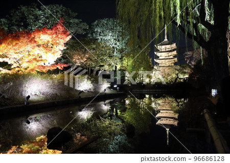 World Heritage To-ji Temple (Kyo-o-gokoku-ji Temple, head temple of Shingon Buddhism) autumn leaves light up [Minami Ward, Kyoto City] 96686128