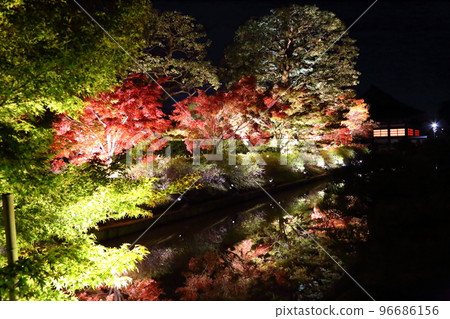 World Cultural Heritage Toji Temple (Kyoogokokuji Temple, Head Temple of Shingon Buddhism) Autumn Leaves Illumination [Minami Ward, Kyoto City] 96686156