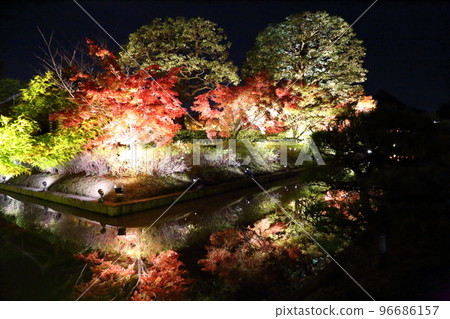 World Cultural Heritage Toji Temple (Kyoogokokuji Temple, Head Temple of Shingon Buddhism) Autumn Leaves Illumination [Minami Ward, Kyoto City] 96686157