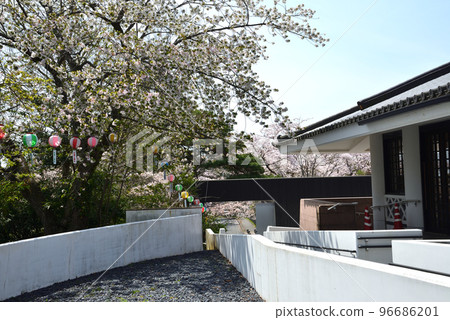 我們去了中古曾關公園#31 我們去了中古曾關公園#31 96686201