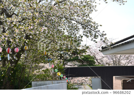 我們去了中古曾關公園#32 我們去了中古曾關公園#32 96686202