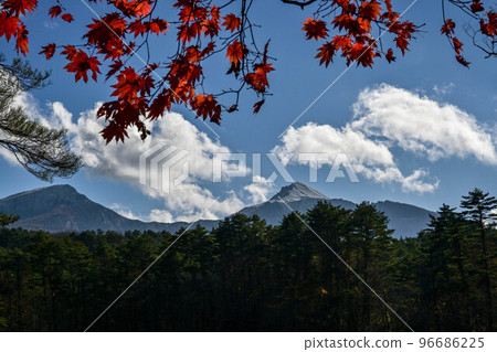 Autumn leaves of Urashiki Goshikinuma 96686225