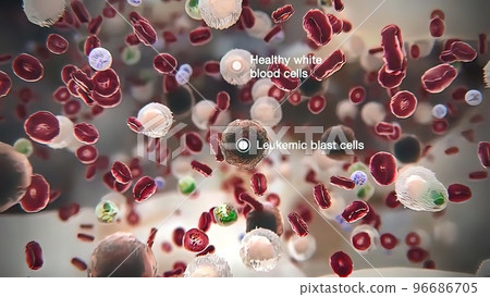 Overview of Blood 96686705