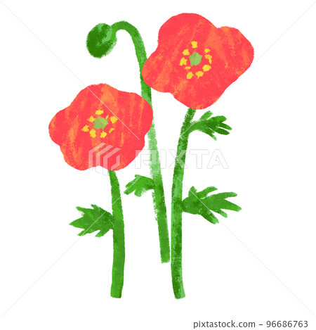 手繪罌粟花透明PNG 96686763