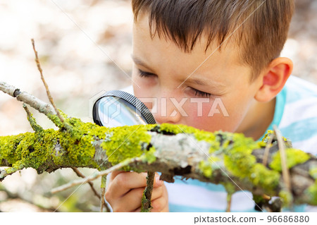 Curious boy is exploring nature with magnifying glass outdoors 96686880