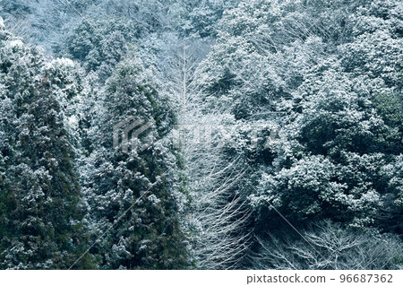 雪景 Asukeko 落在蘭溪樹上的雪 96687362