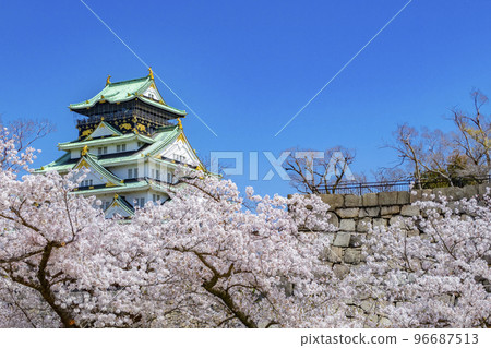 大阪城櫻花春天 大阪城櫻花春天 96687513