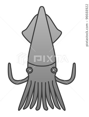 魷魚(黑色) 魷魚(黑色) 96688922