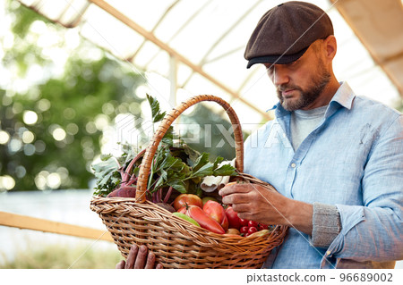 Close up of a mature male farmer is holding a basket with fresh harvested at the moment vegetables satisfied with his harvest Close up of a mature male farmer is holding a basket with fresh harvested at the moment vegetables satisfied with his harvest 96689002