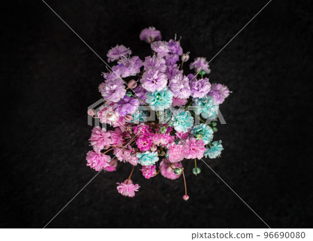 Close-up of flower on black background. Selective focus. 96690080