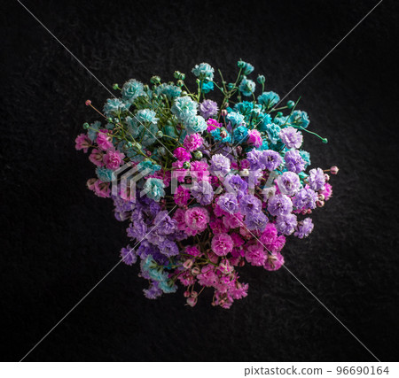 One flower on a black background. Closeup. Nature. 96690164