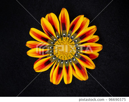 Top view of a flower on black background. Photo from above. 96690375