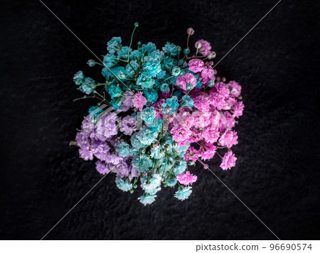Studio shot of flower on black background. Photo from above. 96690574