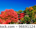 Autumn leaves and triple towers 96691124