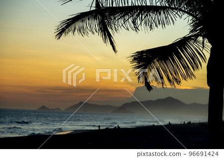 Rio de Janeiro beach at sunset. silhouettes of palm trees Rio de Janeiro beach at sunset. silhouettes of palm trees 96691424