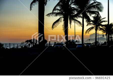 Rio de Janeiro beach at sunset. silhouettes of palm trees 96691425