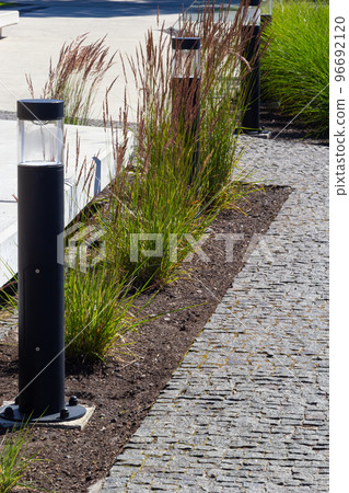 flower beds with ornamental grasses are attractive from autumn to winter and thanks to dry flowers and leaves. plants create a striking contrast 96692120