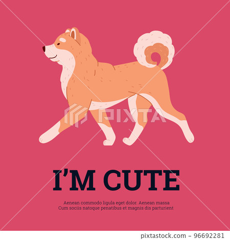 Banner or card design with cute Shiba inu breed dog flat vector illustration. Banner or card design with cute Shiba inu breed dog flat vector illustration. 96692281