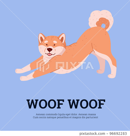 Shiba inu dog card or banner, poster design flat cartoon vector illustration. Shiba inu dog card or banner, poster design flat cartoon vector illustration. 96692283