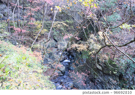 川之橋巴士站附近的紅葉（奧多摩川乘山） 96692810