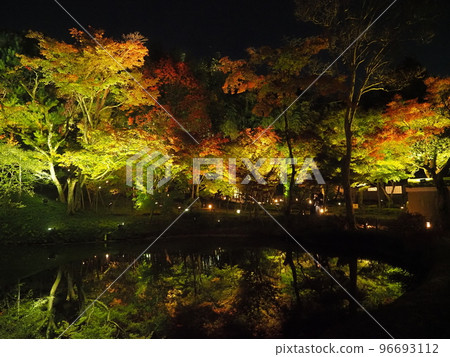 京都東山高台寺點燈 96693112