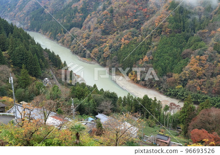 Slope Village and Tea Plantation in Tenryu Village 96693526