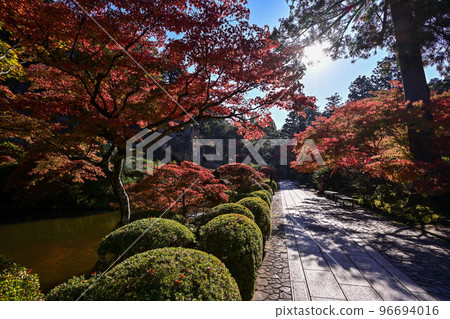Nayoji Temple of the Fall Nayoji Temple of the Fall 96694016